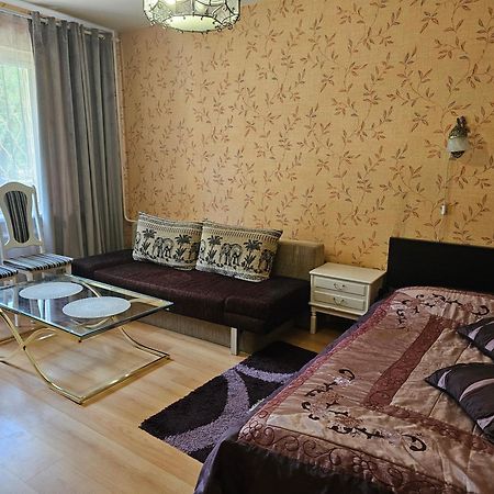 Vieno Kambario Butas Su Balkonu Apartment Kaunas Bagian luar foto