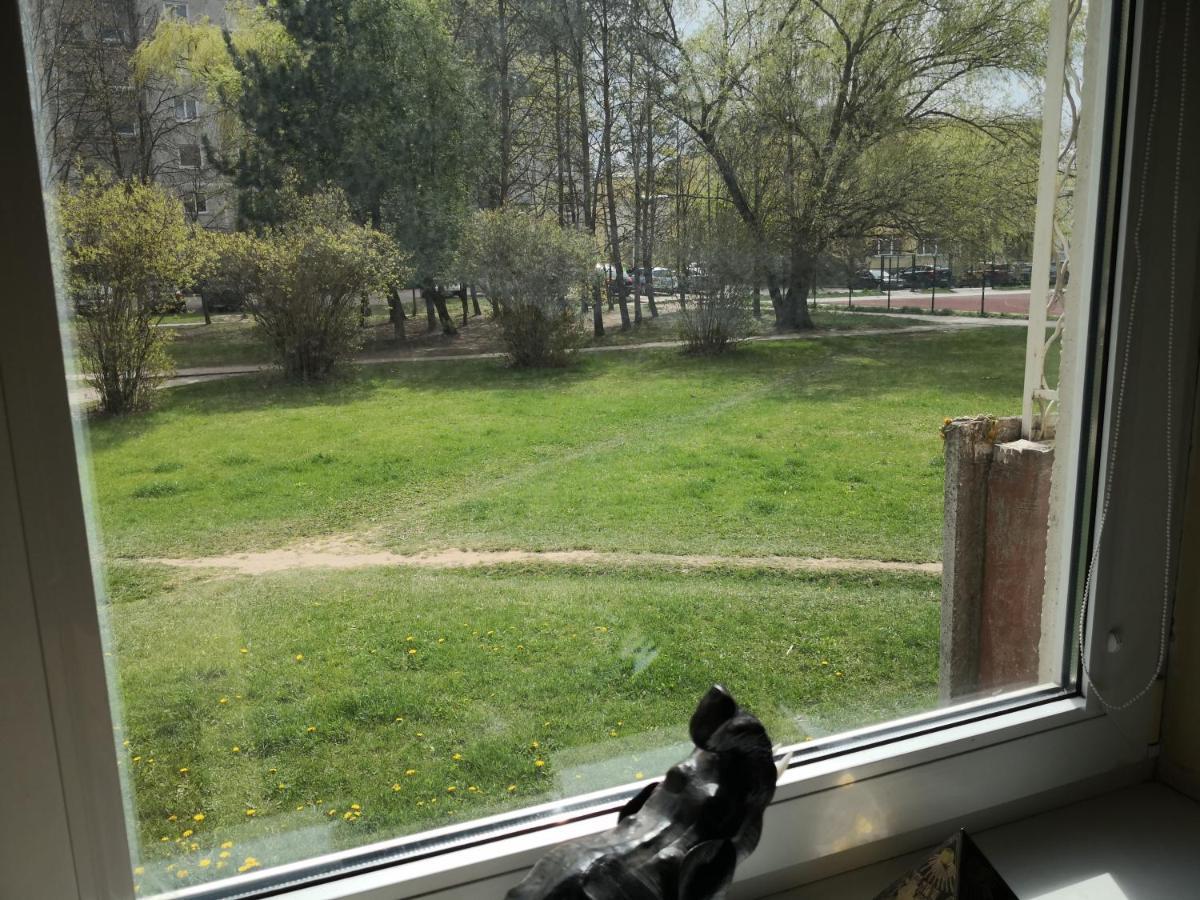 Vieno Kambario Butas Su Balkonu Apartment Kaunas Bagian luar foto