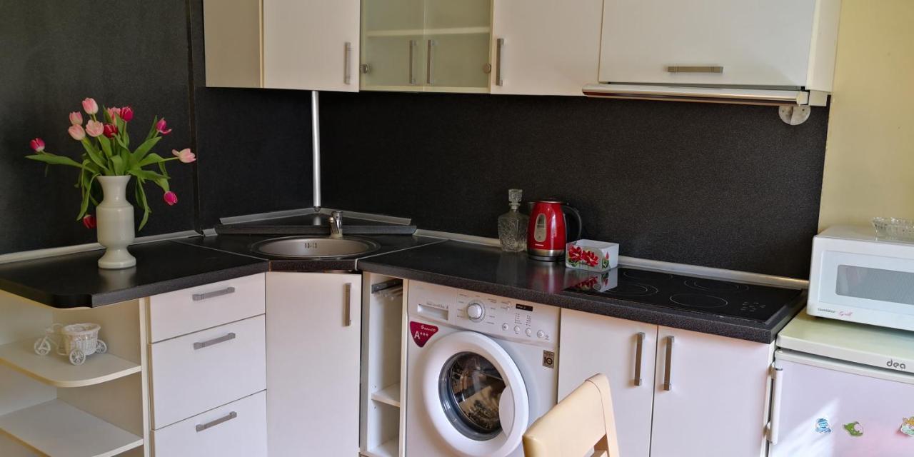 Vieno Kambario Butas Su Balkonu Apartment Kaunas Bagian luar foto